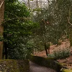 Cambridge House Sleeps 18 *