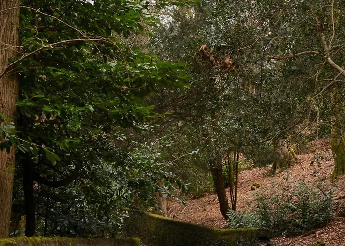 Cambridge House Sleeps 18 *